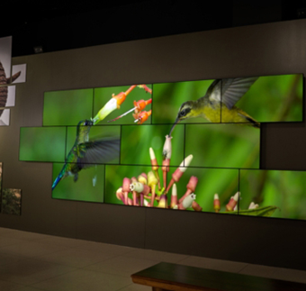 Video Wall solution
